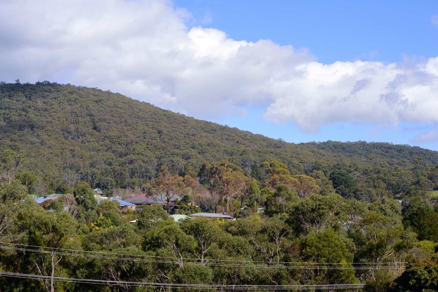 4 35 little yarra road yarra junction vic 3797